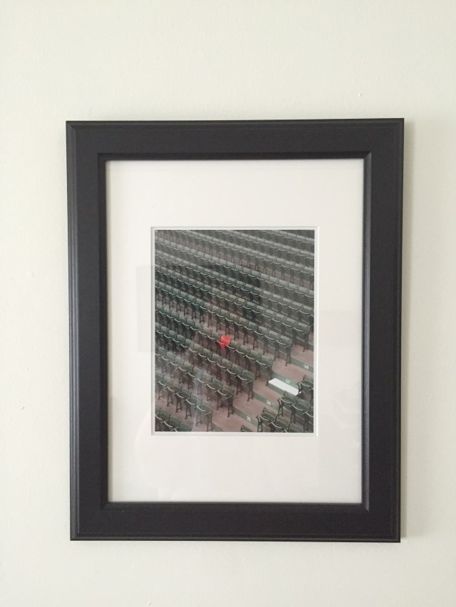 Fenway Artwork - Detail